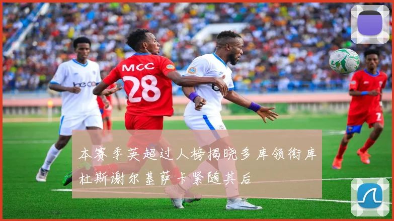 本赛季英超过人榜揭晓多库领衔库杜斯谢尔基萨卡紧随其后