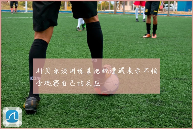 科贝尔谈训练基地蛇遭遇表示不怕会观察自己的反应